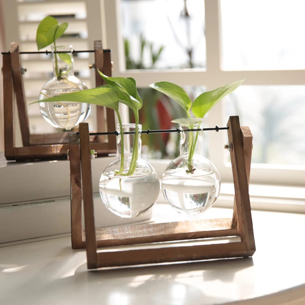 Jarrón de Vidrio Maceta Terrario para Plantas Hidropónicas de Escritorio/Mesa